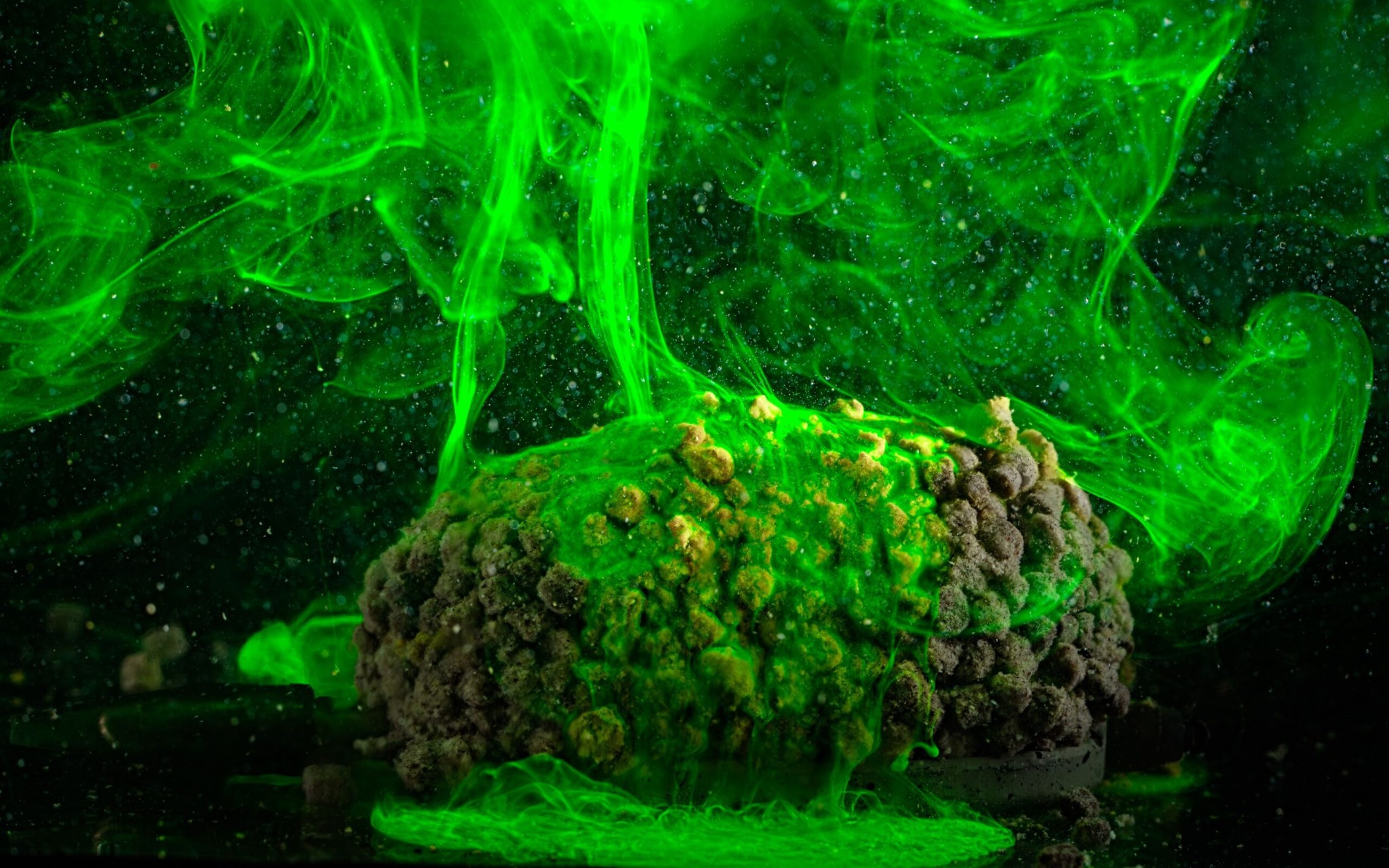 NovákFeeder – spray